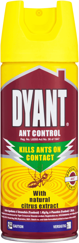 Dyrange Dyant Ant Control Insecticide Spray 300ml