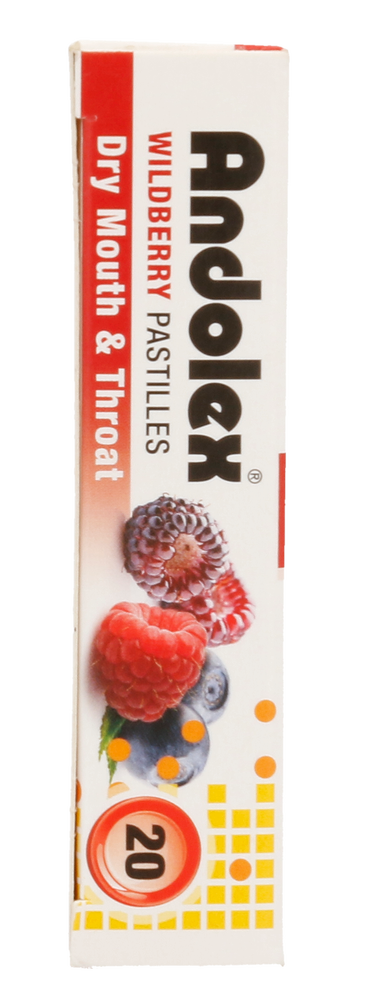 Andolex Wildberry Dry Mouth & Throat Pastilles 20pk