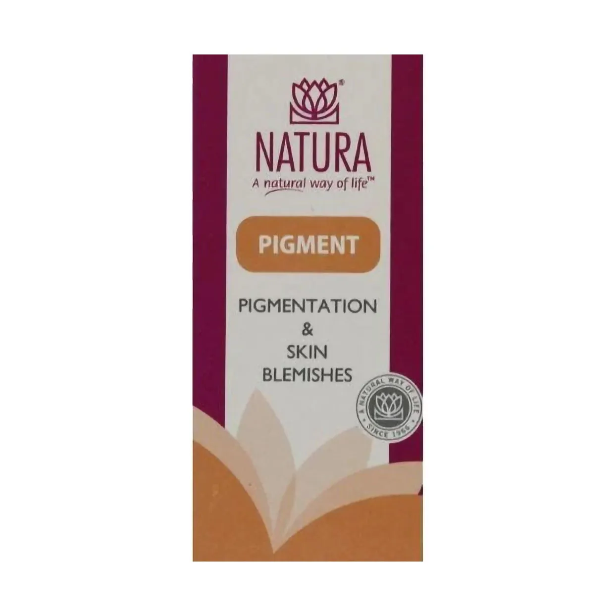 Front of Natura Pigment Pigmentation & Skin Blemishes 150 Tablets box